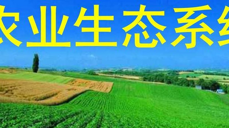 有机生态农业模式：揭秘养殖方法与优势**
