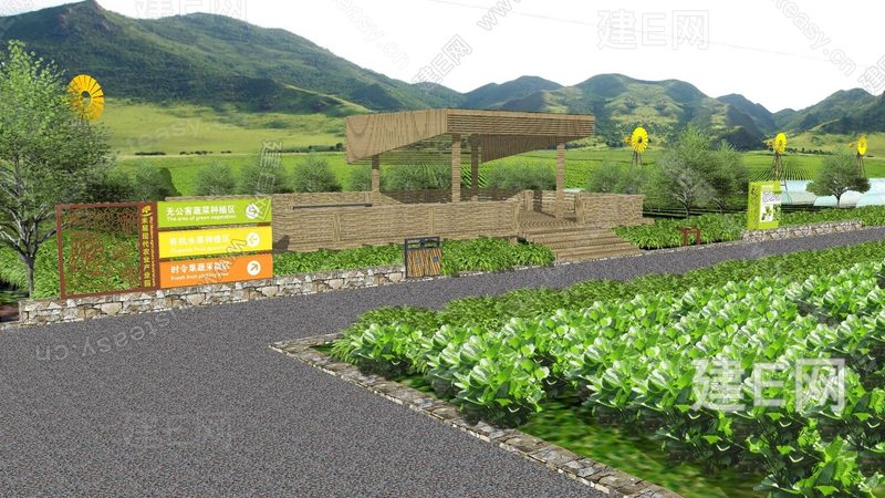 粮食种子优劣区别：如何科学甄别与选择