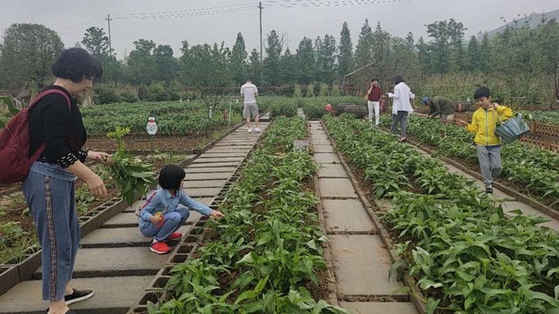 生态农业加盟店：如何评估加盟利润潜力**