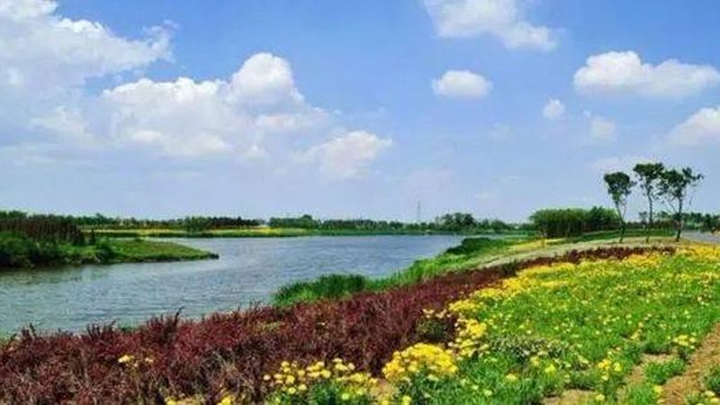 四川生态农业项目选择：如何规避误区，把握关键