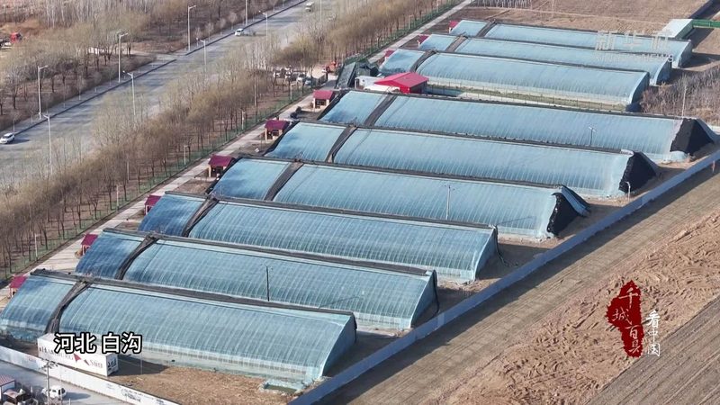 农业种植设备生产厂家排名