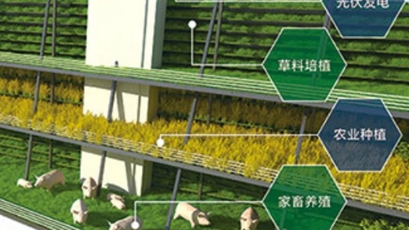 盐碱地土壤改良：从问题到解决方案的步骤解析