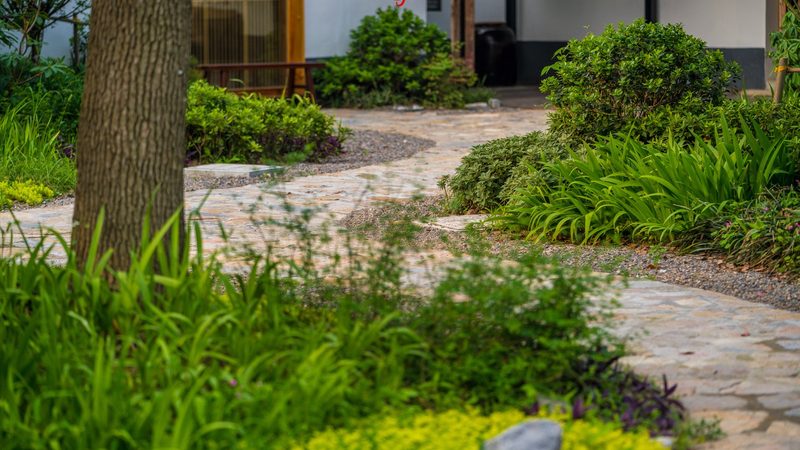粮食种植技术培训定制方案