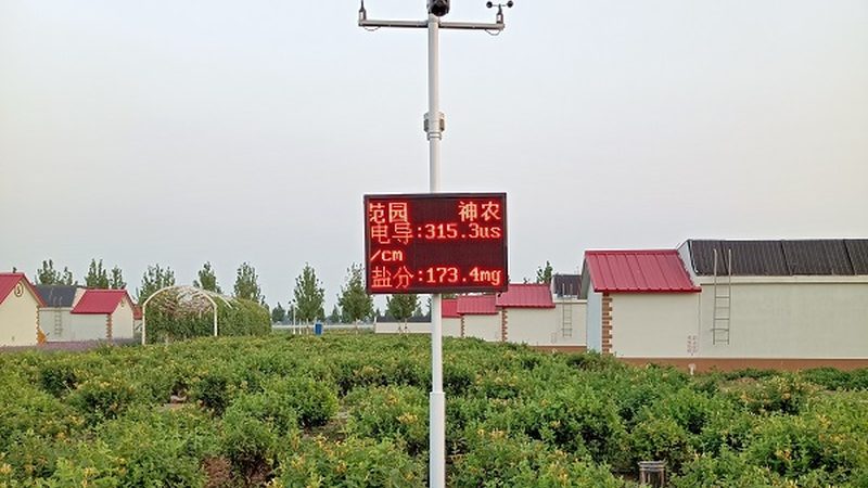 大棚保温被：如何选择优质产品，保障农业生产效率**
