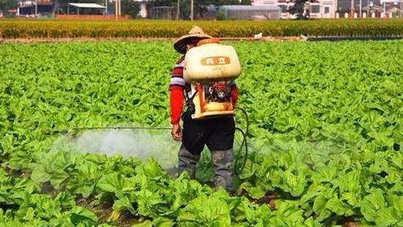 2024农业项目品牌排行：揭秘行业新趋势**